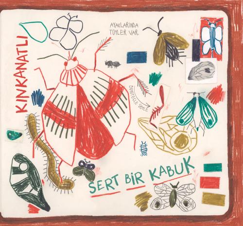 Küçük Ama Olağanüstü Şeyler