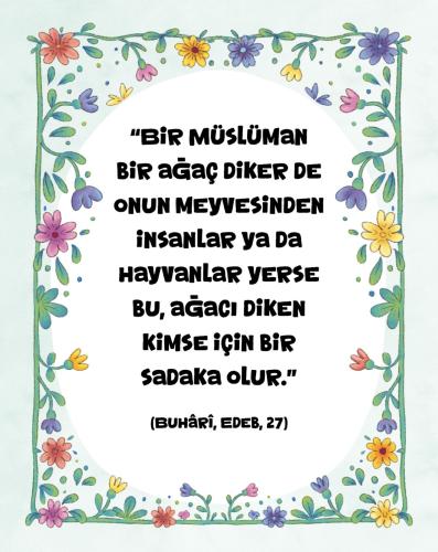 Hadis Kartları